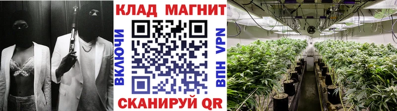 Сколько стоит Курчатов Амфетамин  гидра онион  КОКАИН  Канабис 