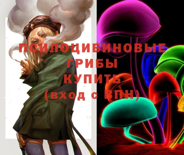 мет Осинники