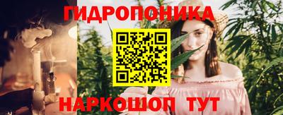 индика Кунгур