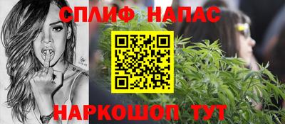 ECSTASY Гай