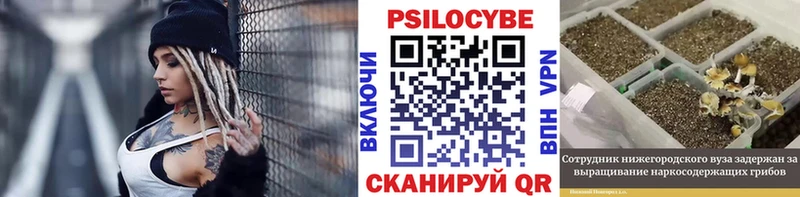 цены наркотик  Курчатов  Галлюциногенные грибы прущие грибы 