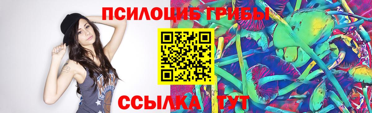 Галлюциногенные грибы Psilocybine cubensis  Курчатов 