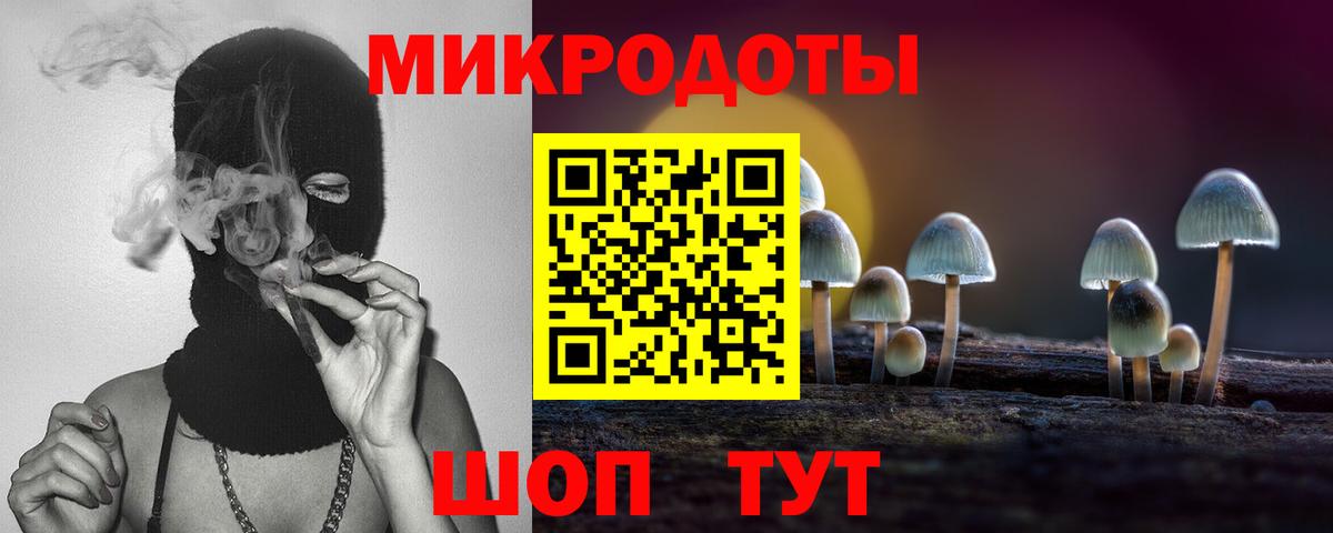 Курчатов  Галлюциногенные грибы мицелий  Вход с VPN 