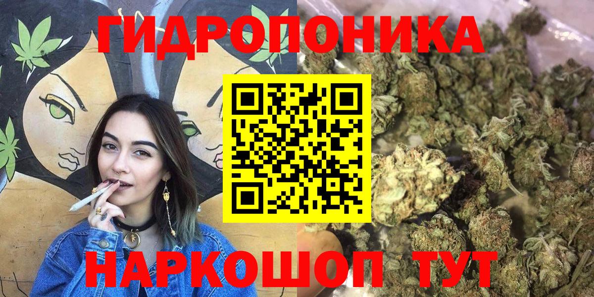 Конопля конопля Курчатов